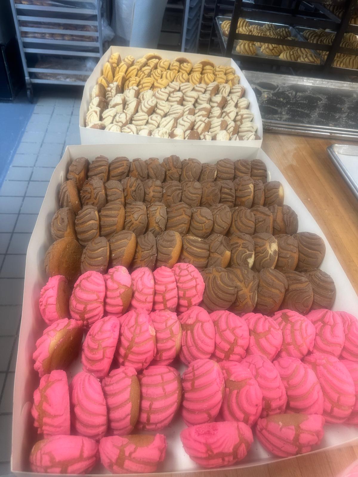 Trays of pink and chocolate conchas fresh from the oven