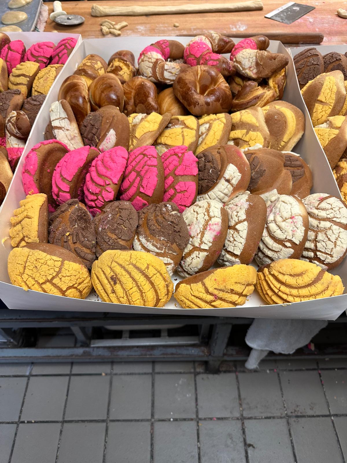 A box of fresh pan dulce: conchas, cuernos and twists